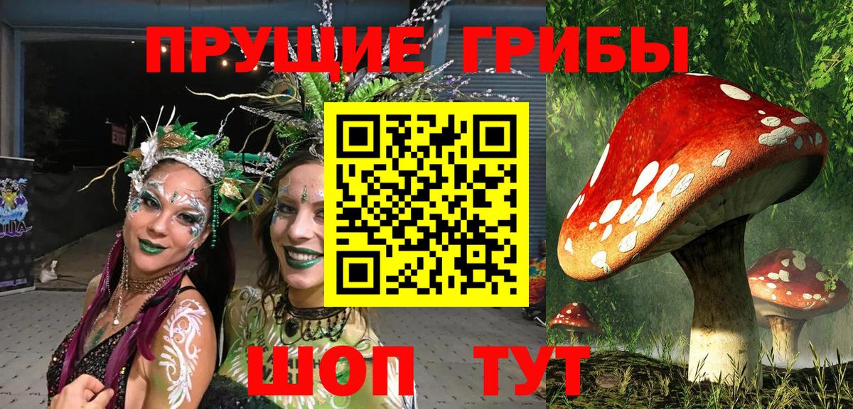 закладка  Вход с VPN  Липецк  Псилоцибиновые грибы Magic Shrooms 